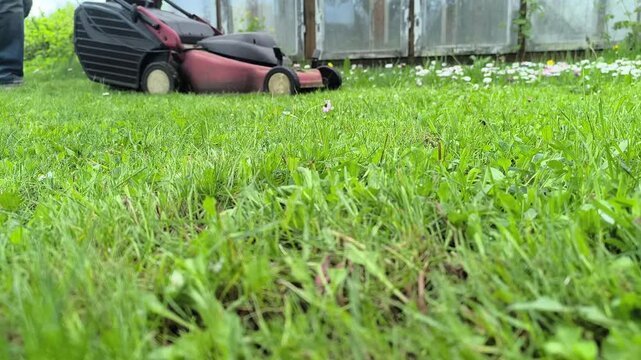 Gardener mowing the lawn. Landscape design. Green grass background	
