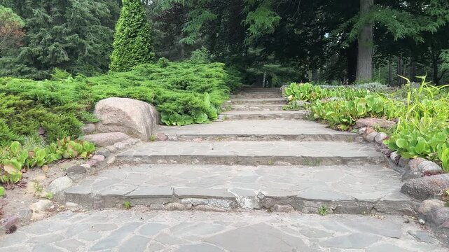 Stone staircase ascends through green juniper bushes in peaceful botanical garden. Natural rock steps lead upward amid dense foliage and boulders. Outdoor landscape view focus on walking