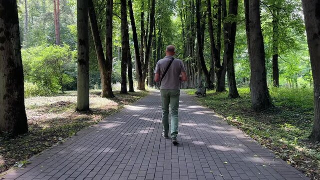 Mature man walking away along shaded park alley surrounded by tall linden trees in sunny afternoon. Rear view of adult male strolling peacefully down paved park path. Outdoor leisure