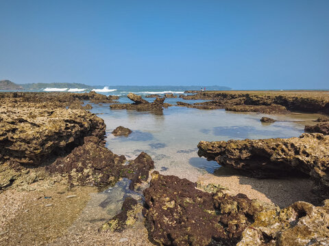 Rocky intertidal beach with tide pools and clear shallow water at low tide with people in distance