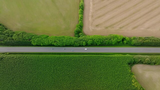 Top-down aerial highway crossing farm fields with small cars moving along both directions, bordered by hedgerows, crop rows, and open rural landscape under soft daylight