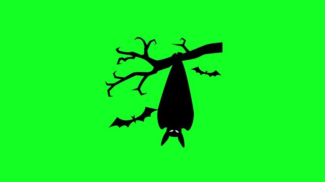 Animated Hanging Bat on Tree Branch Silhouette on Green Screen