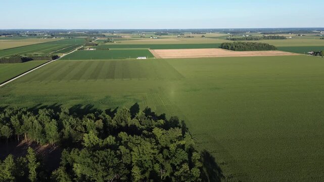 Drone Aerial of Rural Farmland in Summer