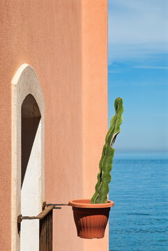 Cactus in un vaso su un balcone mediterraneo con vista sul mare calmo