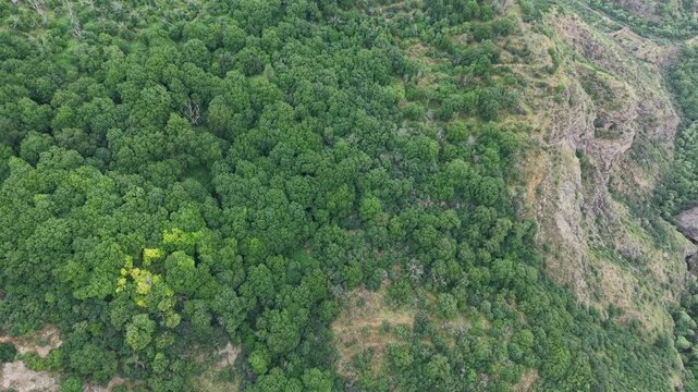 4K Drone Flight Over Dense Mountain Forest and Rocky Cliffs.