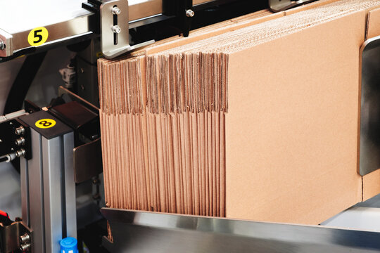 Elements of corton boxes collected in stack. Conveyor line for production of boxes. Machine cuts cardboard boxes from sheets of cardboard. Enterprise for production package.