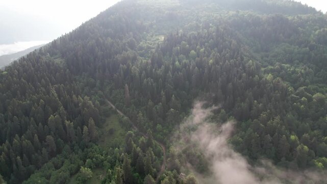 Cinematic drone flight above lush green Caucasus mountains, drifting clouds in Svaneti, Georgia. Peaceful aerial landscape for travel films, meditation, relaxation, wellness nature projects