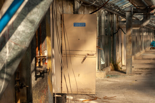 Abandoned old industrial glass greenhouse with dry dead plants and withered crops