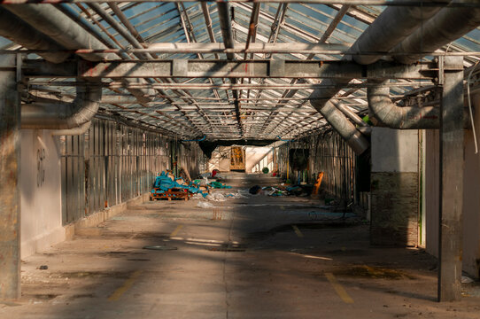 Abandoned old industrial glass greenhouse with dry dead plants and withered crops