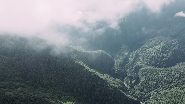 Aerial drone flight through clouds above lush green Caucasus mountains in Svaneti, Georgia. Peaceful alpine landscape with forested peaks, perfect for meditation, relaxation, travel and nature project