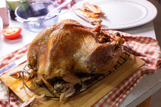 Golden roasted turkey. Delicious festive bird. Holiday dinner main course. Savory feast.