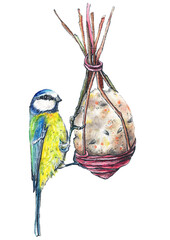 Titmouse and feeder. © Yulia