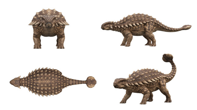 Armored ankylosaurus dinosaur multi angle set on transparent background