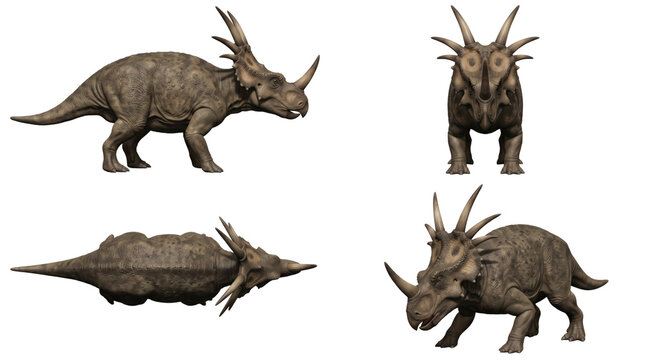 Spiky styracosaurus dinosaur multi angle set on transparent background