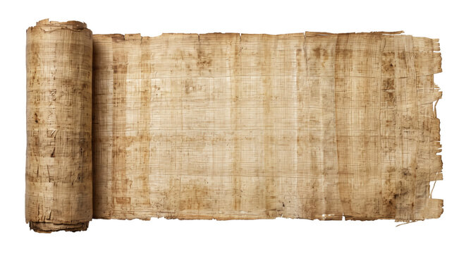 Old Egyptian papyrus scroll unrolled on transparent background