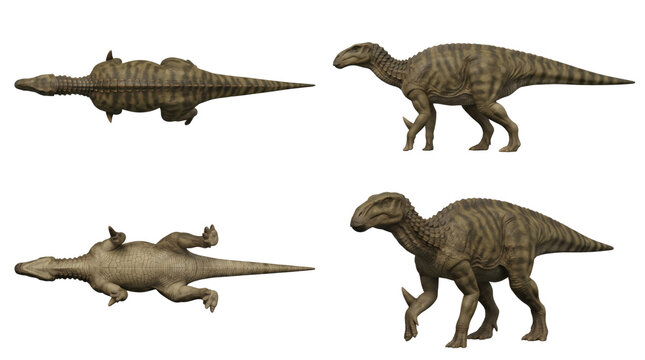 Iguanodon dinosaur model shown from multiple angles