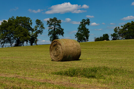 Hay bale in the field