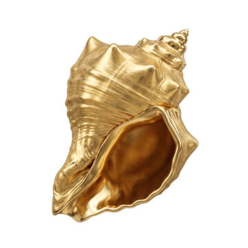 Golden conch shell isolated on transparent background