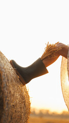 Farmer's boot on hay bale holding wheat stalks at sunset © shine.graphics