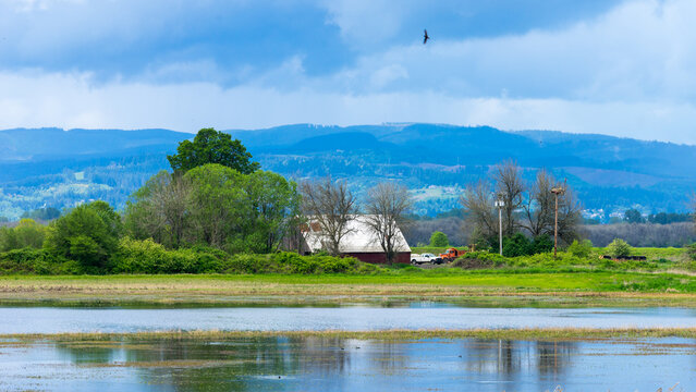 Sauvie Island, Wapato Island, Portland, Oregon	