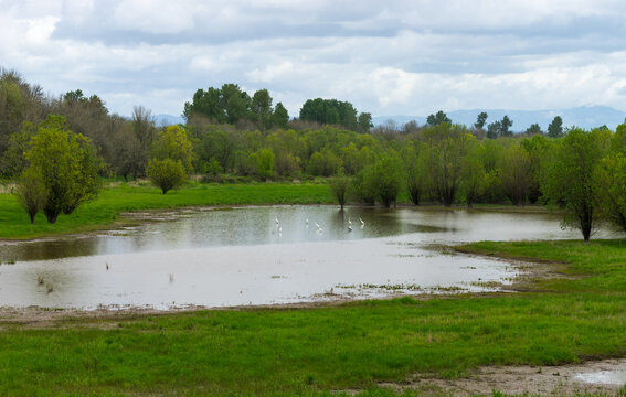 Sauvie Island, Wapato Island, Portland, Oregon	
