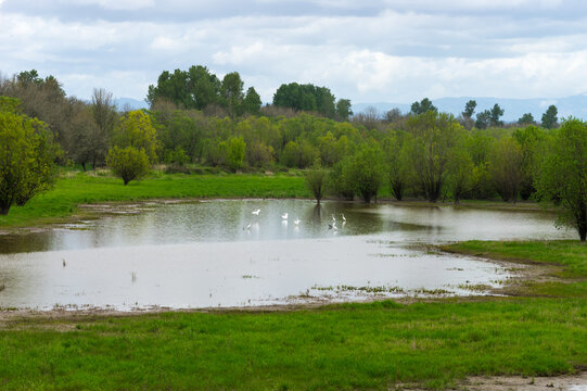 Sauvie Island, Wapato Island, Portland, Oregon	
