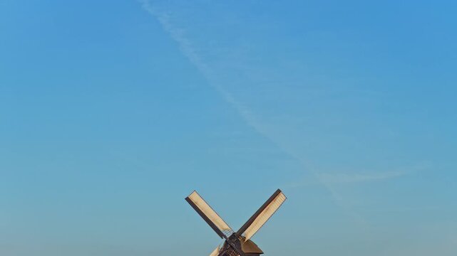 Dutch windmill spinning over red tulip field in holland
