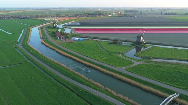 Dutch windmills with colorful tulip fields and canal boat