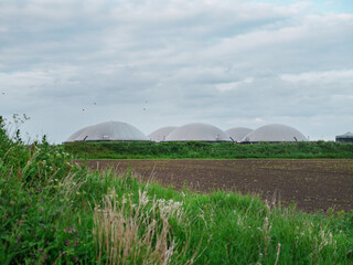White biogas domes rise behind a grassy dyke in the Dutch countryside, a renewable energy plant. © Victor