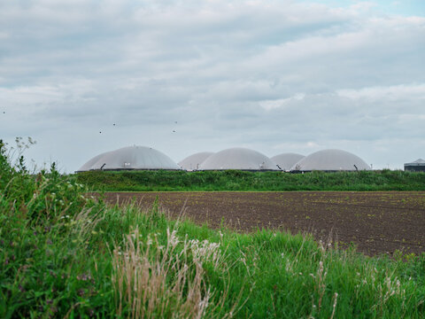 White biogas domes rise behind a grassy dyke in the Dutch countryside, a renewable energy plant.