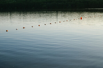 Floating buoy line marking swimming area on a calm lake at sunset © YAROVA