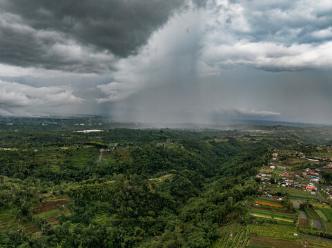 Aerial view of the Bedugul area featuring lush green terraced landscapes, agricultural fields, and a dramatic rainstorm with dark clouds over the valley in Kecamatan Baturiti, Bali, Indonesia.