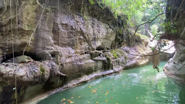 Arroyo Guayabo, Yasica