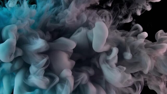 Close-up time-lapse of colorful coral reef ecosystem