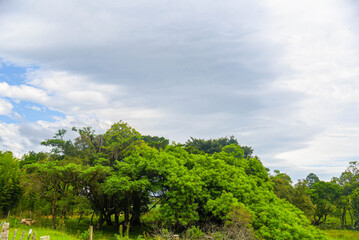 Fototapeta premium Rural Landscape in Southern Brazil