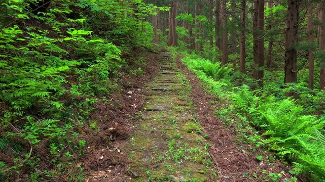 黒沢峠の敷石道