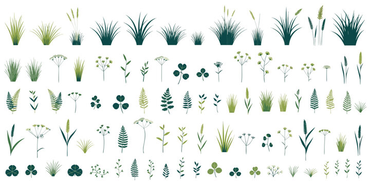 Botanical Illustration Of Various Grasses Ferns And Wildflower Sprigs In A Watercolor Style