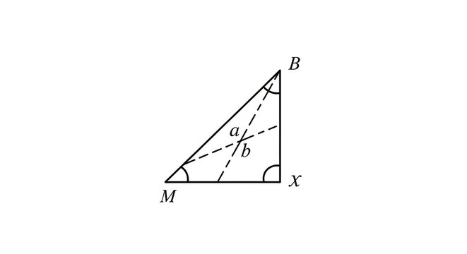 Mathematical geometry diagram of a right triangle with labels and variables