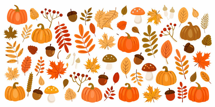 Fall Harvest Elements Collection A Vector Illustration Featuring Pumpkins Acorns And Autumn Leaves