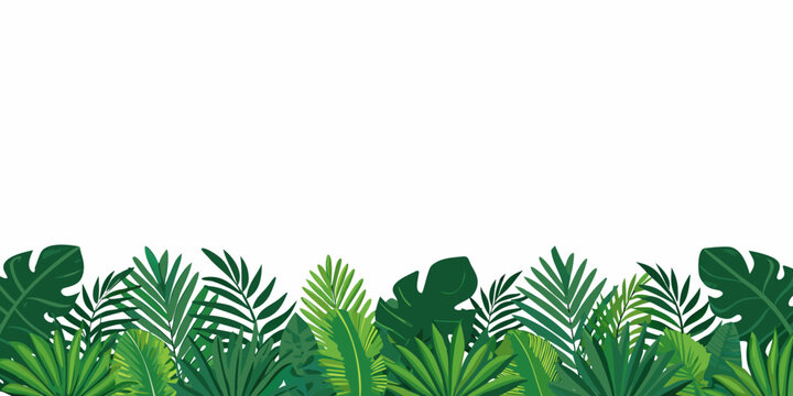 Tropical foliage border illustration with varying shades of green leaves on a white background