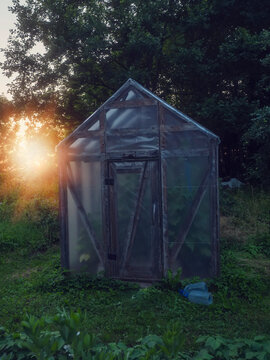 Sunlight filters through trees, illuminating a rustic garden shed. Green grass covers the ground, with tools nearby. Peaceful outdoor setting during sunrise or sunset. Natural tones dominate the scene