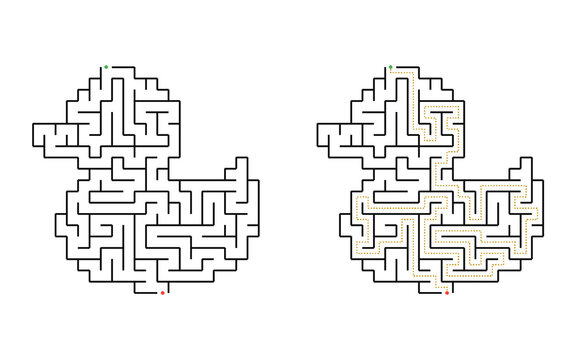 Duck shaped maze puzzle with winding labyrinth path from entrance to exit isolated on white background educational game for children printable activity