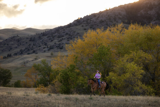 Wyoming Ranch Cowgirl with AQHA Quarter Horse