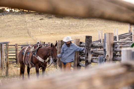 Wyoming Cowboy Horse Ranch scenic