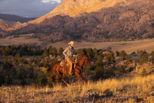 Wyoming Cowboy Horse Ranch scenic