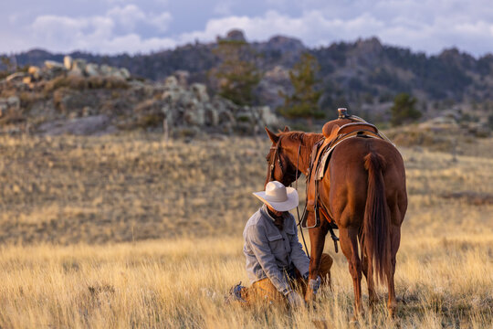 Wyoming Cowboy Horse Ranch scenic