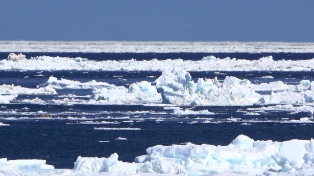 オホーツク海の流氷と陽炎