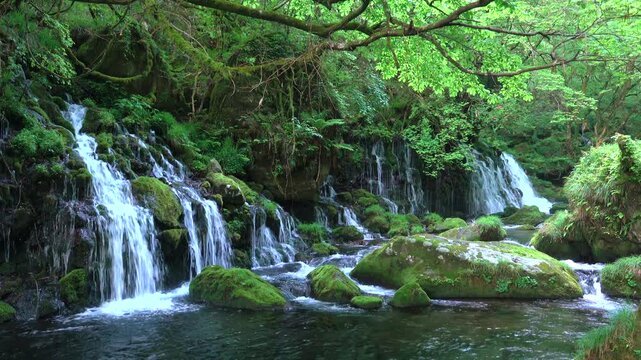 元滝伏流水