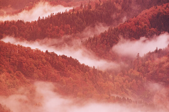 Misty autumn mountain landscape at sunrise in Slovenia