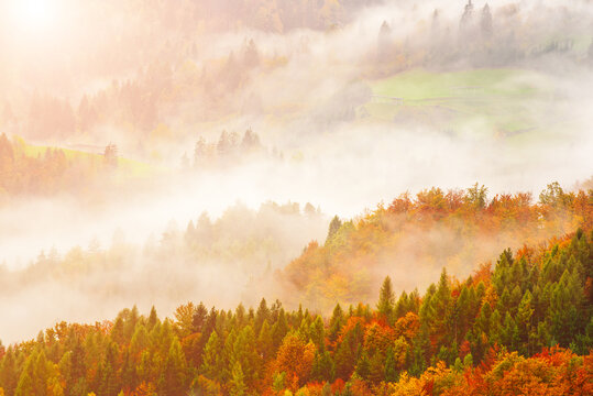 Misty autumn mountain landscape at sunrise in Slovenia